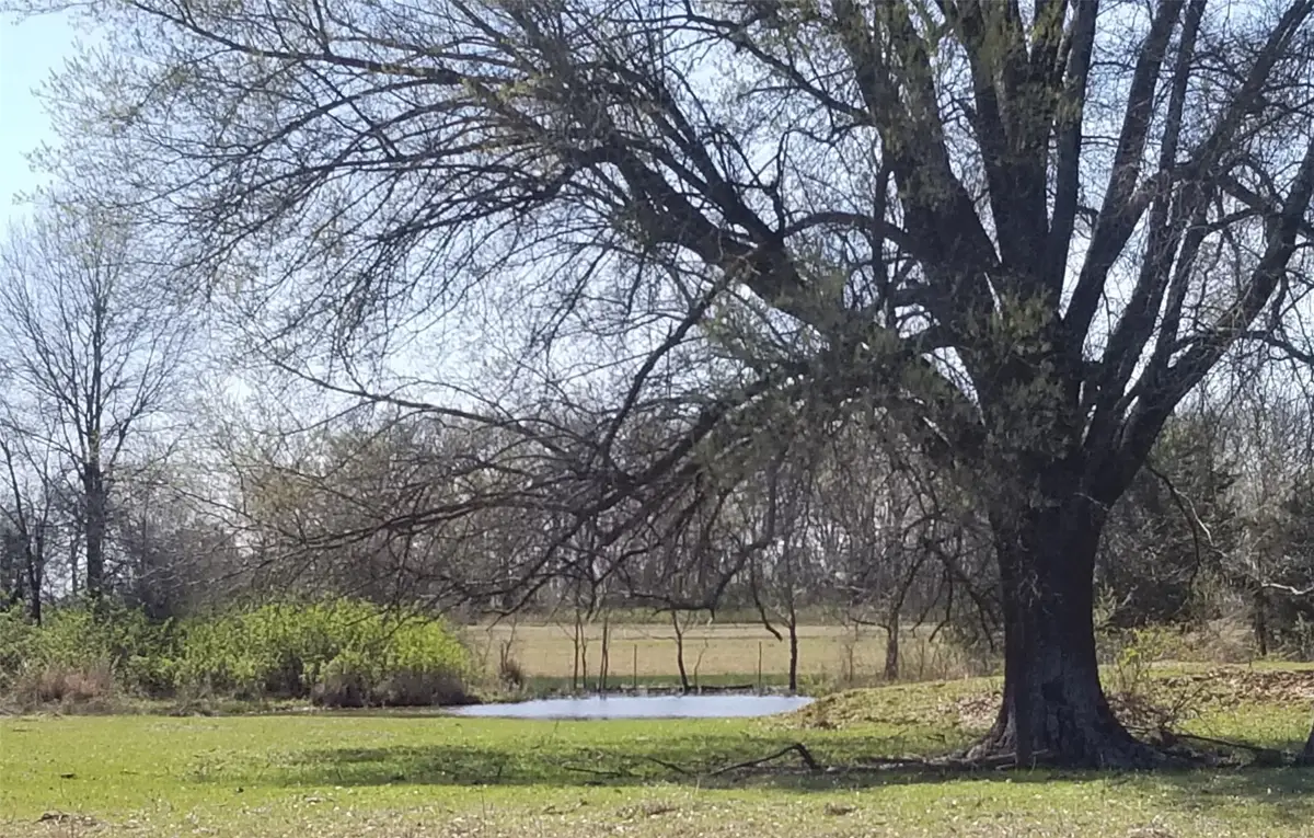 TBD 0000 Farm Road 1502, Detroit, TX 75436 - #1