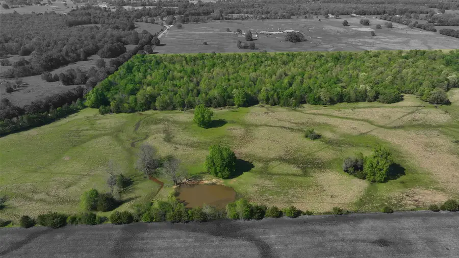 TBD 0000 Farm Road 1502, Detroit, TX 75436 - #2