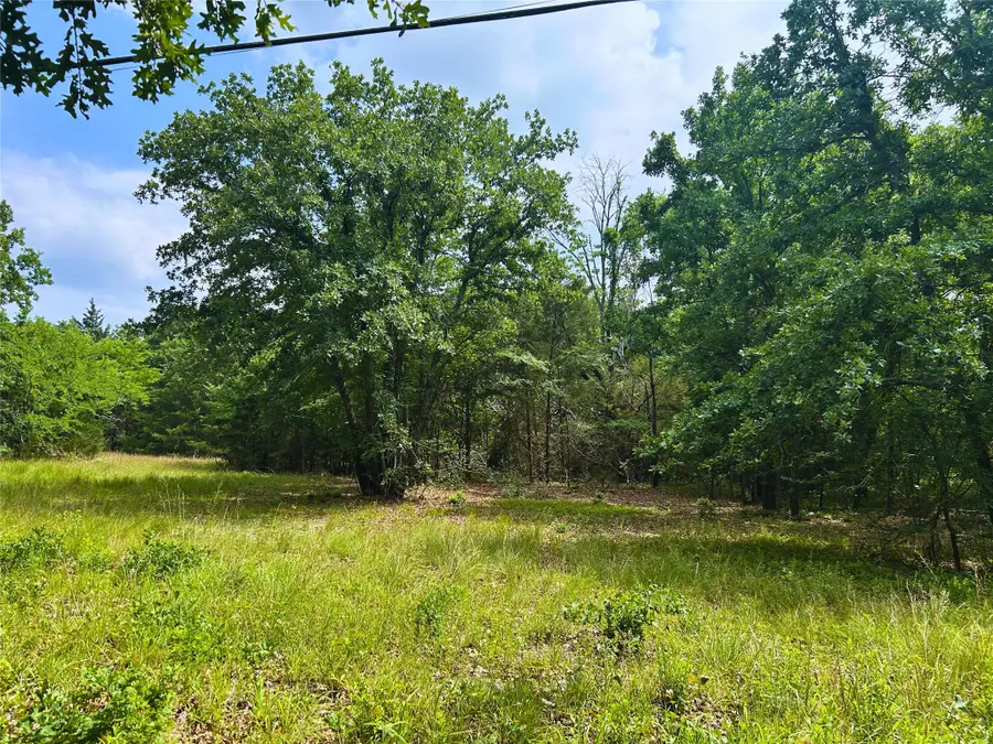 Lot 2 North Shore Road, Quinlan, TX 75474 - #3