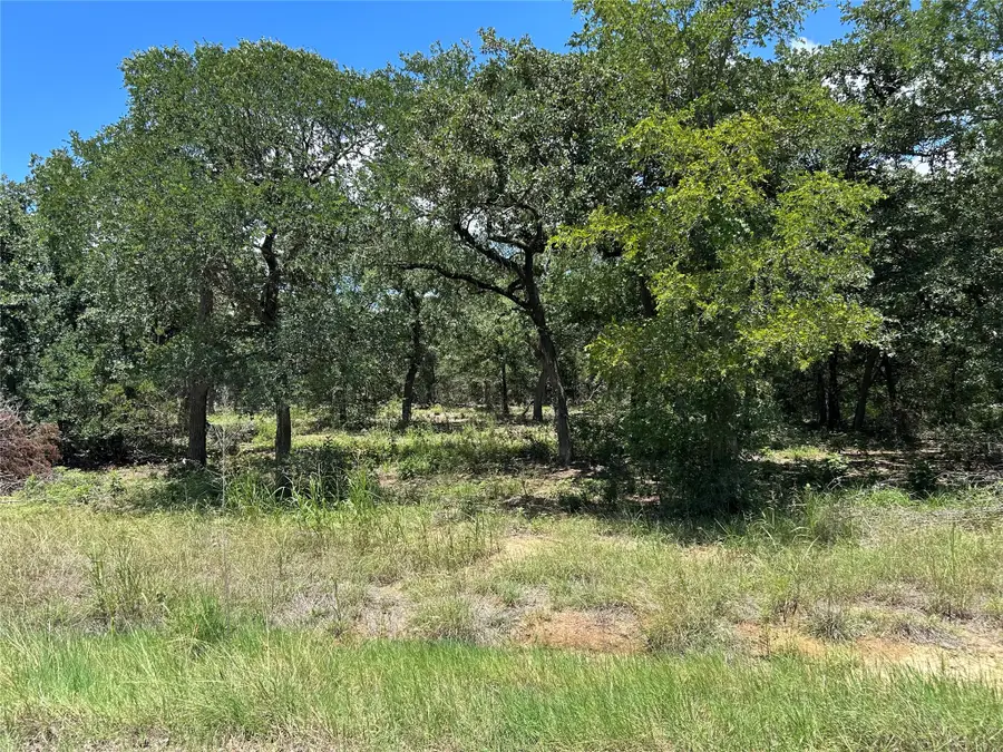 TBD Hill County Road 1248, Whitney, TX 76692 - #2