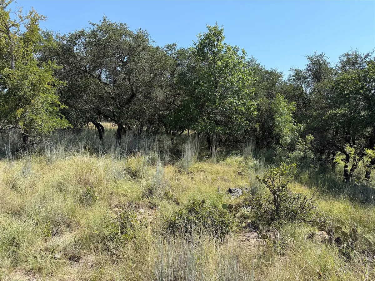 TBD Lot 974 Lake Point Drive, May, TX 76857 - #1