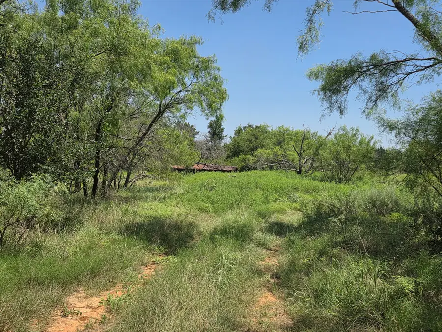 450 County Road 250, Gustine, TX 76455 - #2