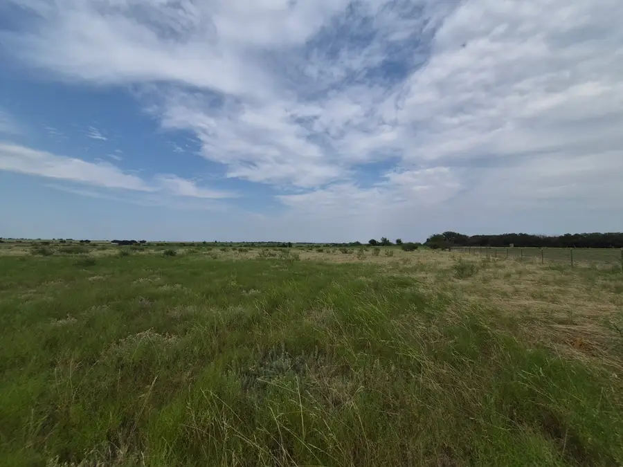 LOT 1 County Road 627, Indian Gap, TX 76531 - #3