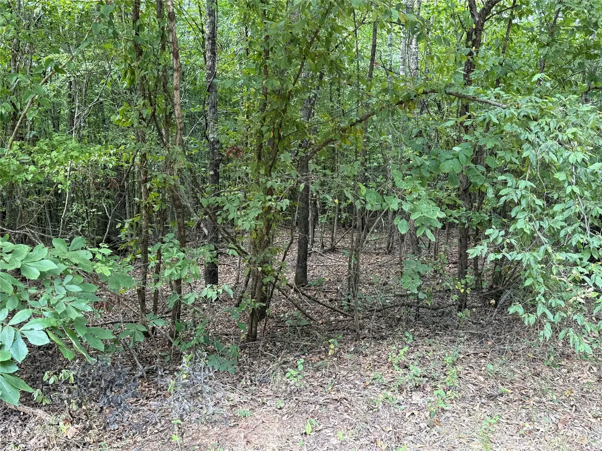 2346 County Road 4284, Simms, TX 75574 - #1