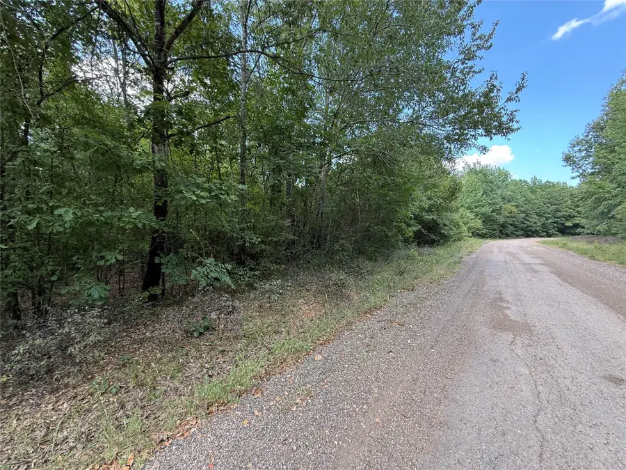 2346 County Road 4284, Simms, TX 75574 - #3
