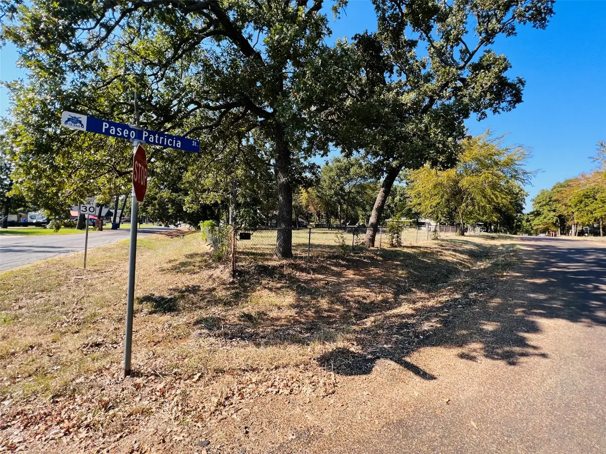 123 Paseo Patricia Street, Gun Barrel City, TX 75156 - #1