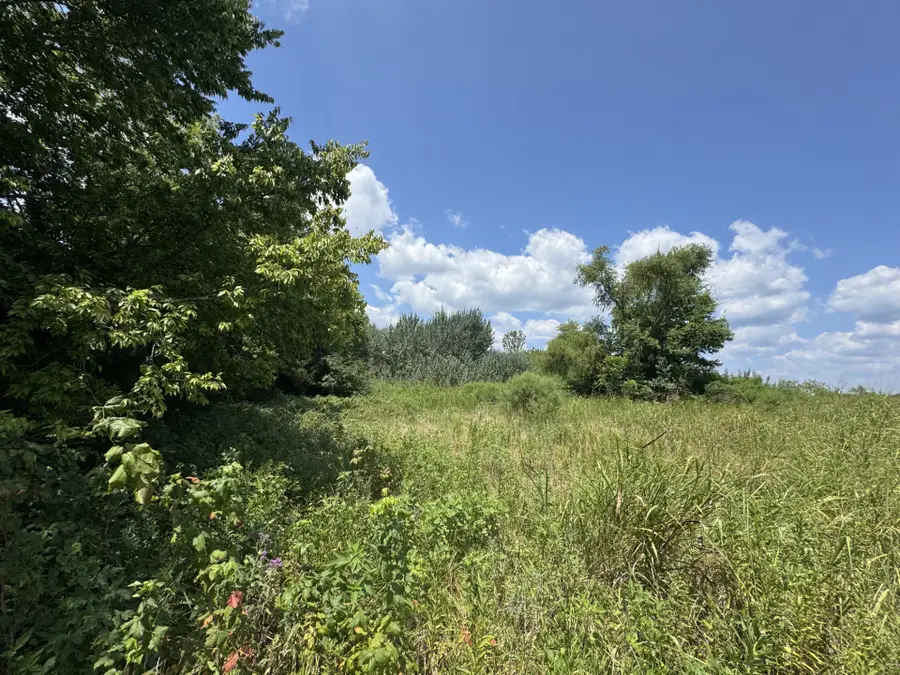 7425 Fm 114, Clarksville, TX 75426 - #2