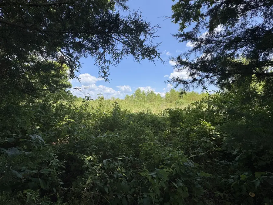 7425 Fm 114, Clarksville, TX 75426 - #3