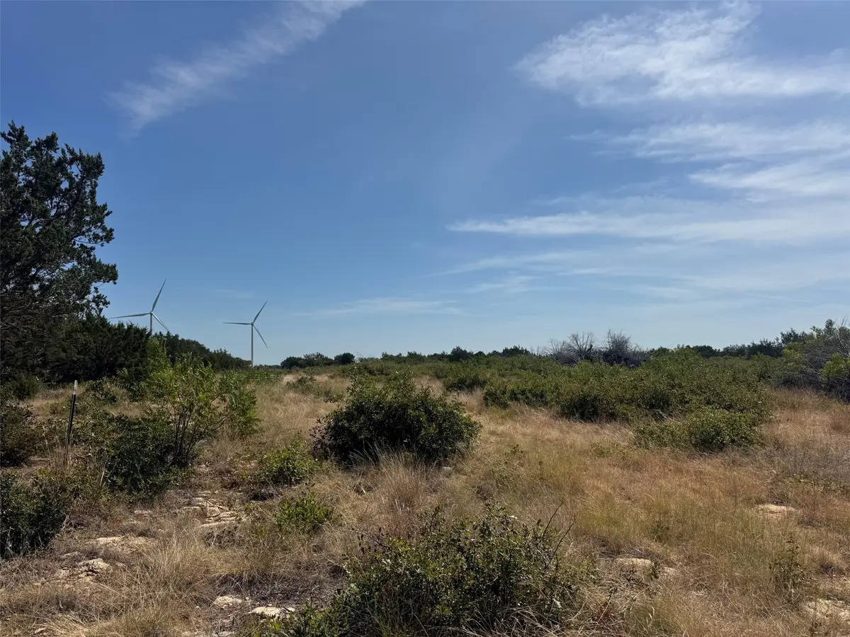 TBD Georgia Pass, Desdemona, TX 76445 - #1
