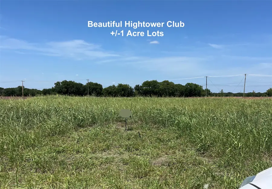 TBD Lot 9 Samir Lane, Waxahachie, TX 75165 - #3