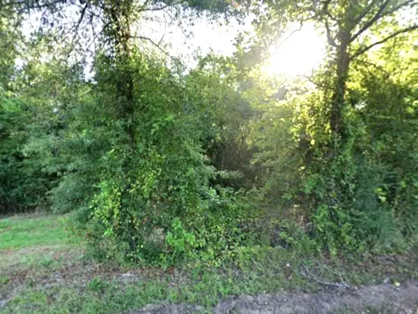 0 County Rd 224, Carthage, TX 75633