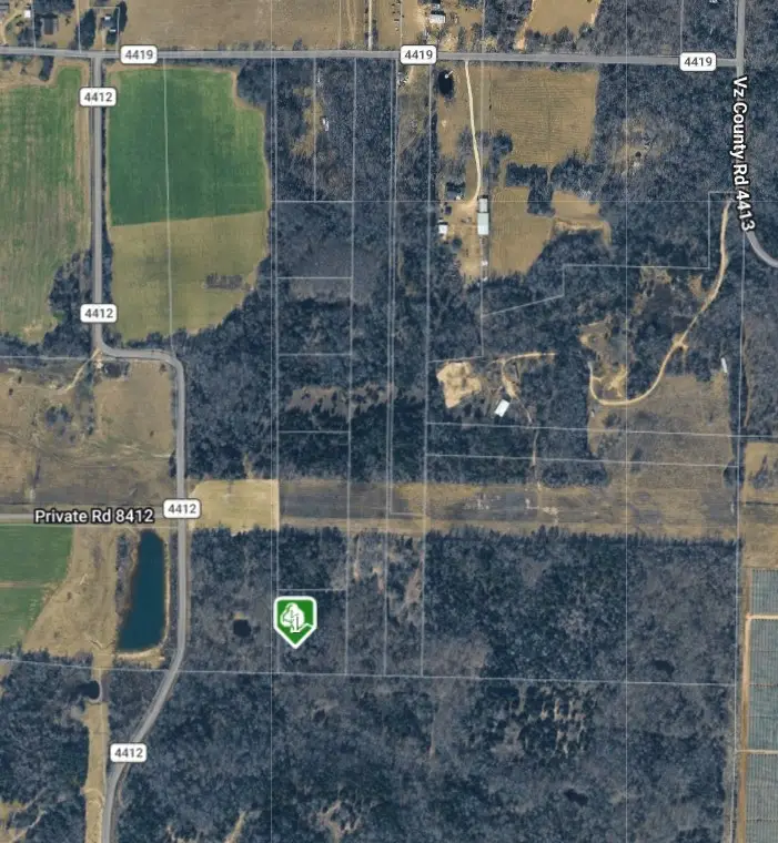 270 Vz County Road 4419, Ben Wheeler, TX 75754 - #2