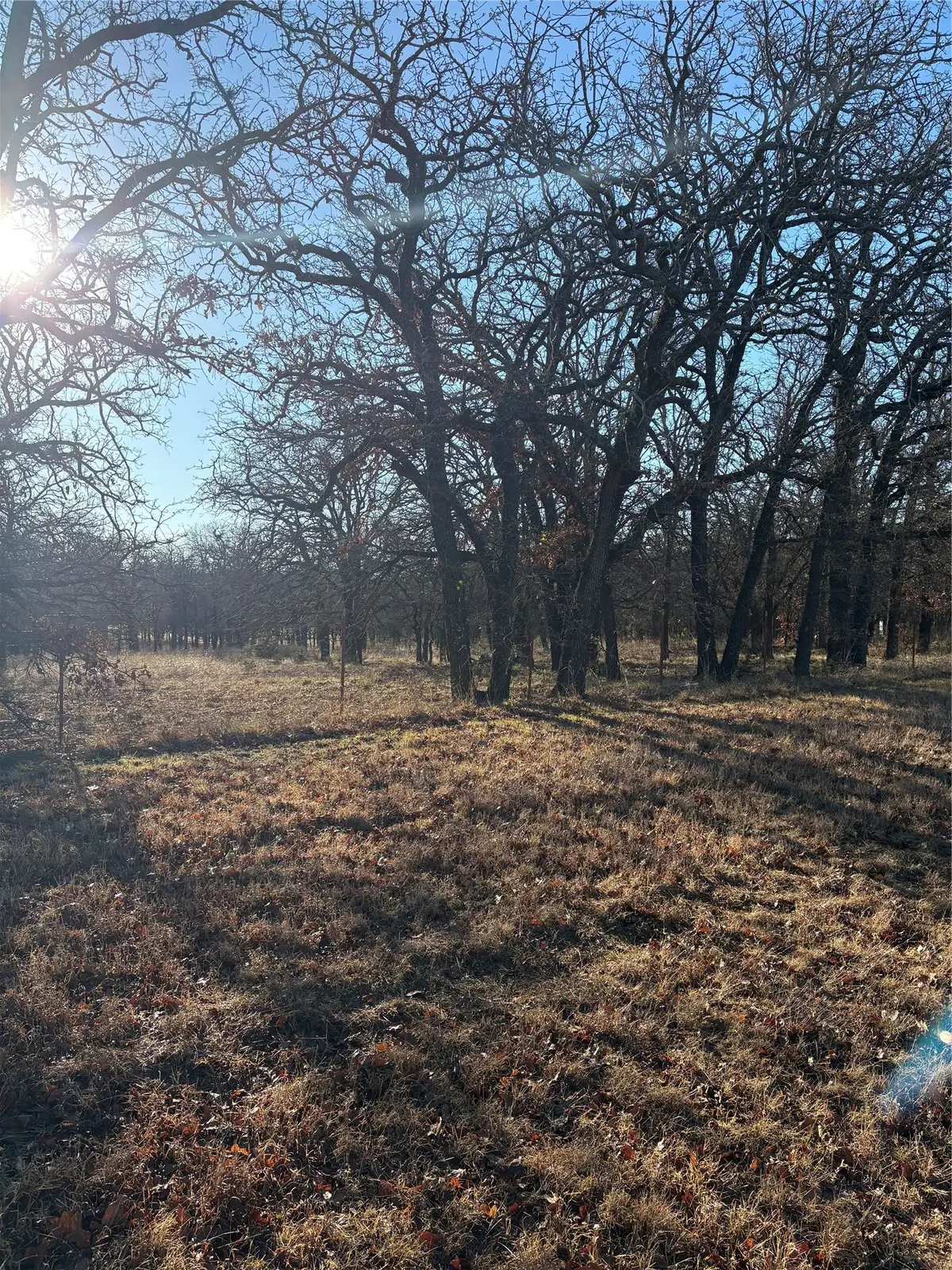 1190 N State Hwy 220, Hico, TX 76457 - #1