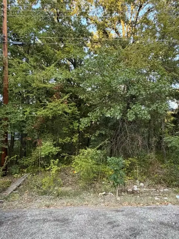 132 Chapperall Drive, Mabank, TX 75156