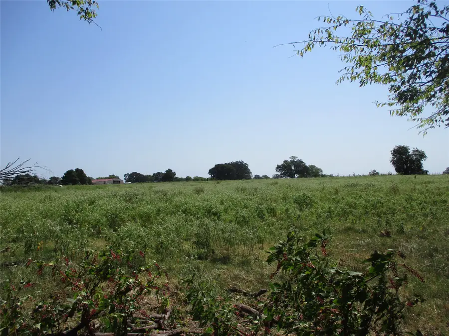 TBD Rains County Road 2360, Alba, TX 75410 - #2