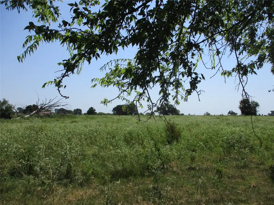 TBD Rains County Road 2360, Alba, TX 75410 - #3