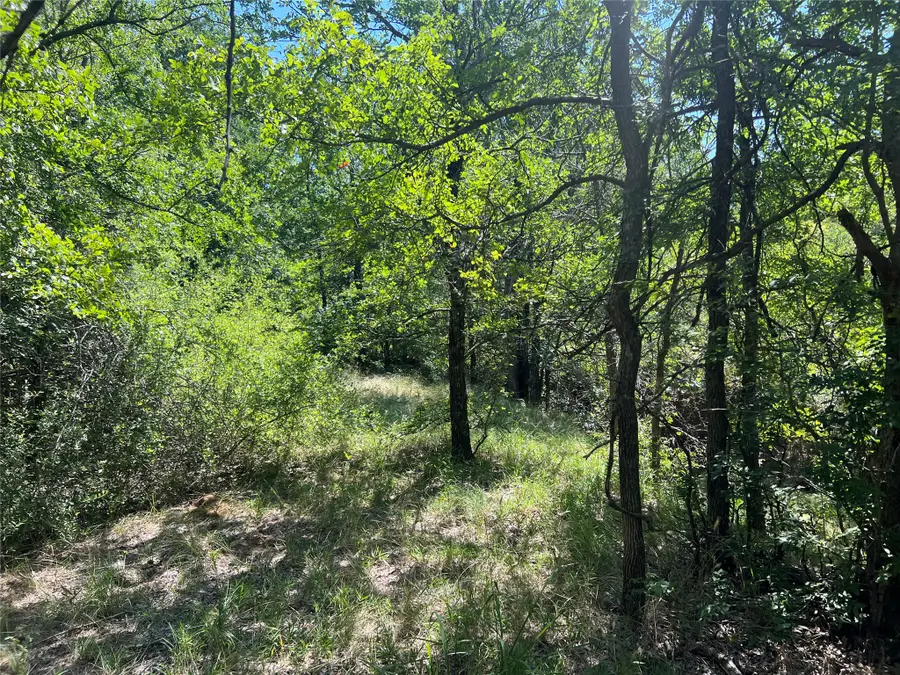 137 Cr, Cisco, TX 76437 - #3