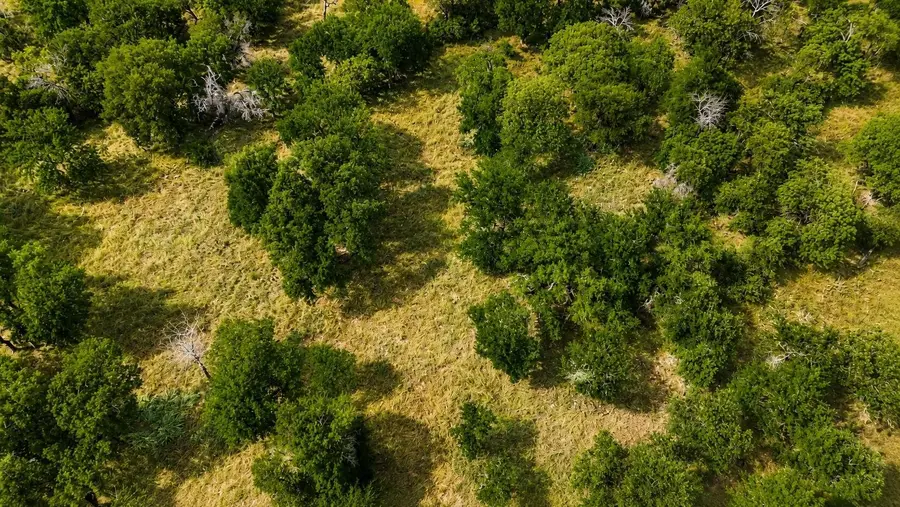 274 Ridgeline Drive, Chico, TX 76431 - #3