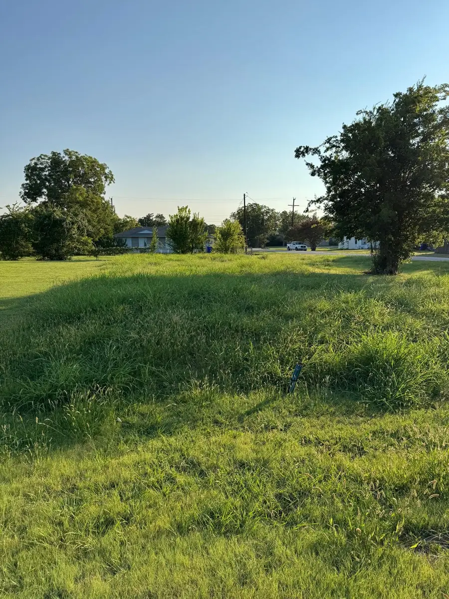 600 E Buffalo Street, Forney, TX 75126 - #3