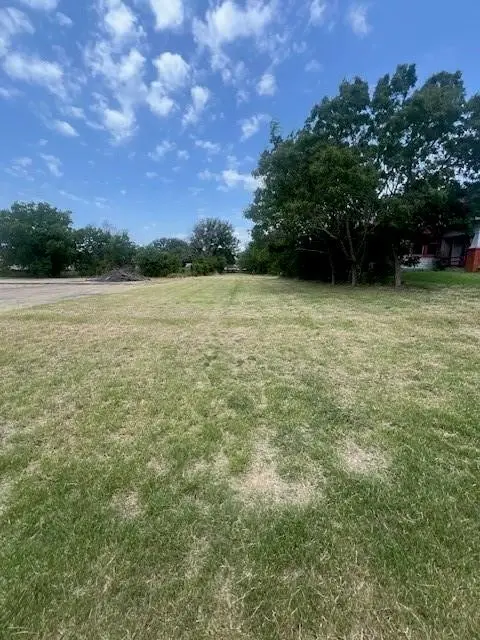 1402 SE 6th Avenue, Mineral Wells, TX 76067 - #1