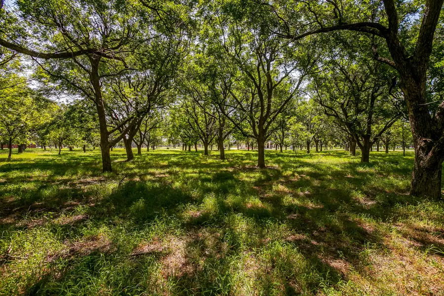 2525 Buckskin Drive, Granbury, TX 76049 - #2