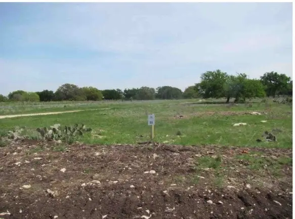 310 Yellowstone Drive, Oglesby, TX 76561