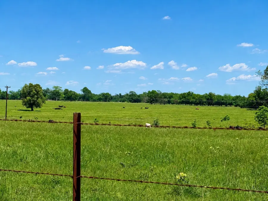 TBD Cr 3561, Sulphur Bluff, TX 75481 - #3