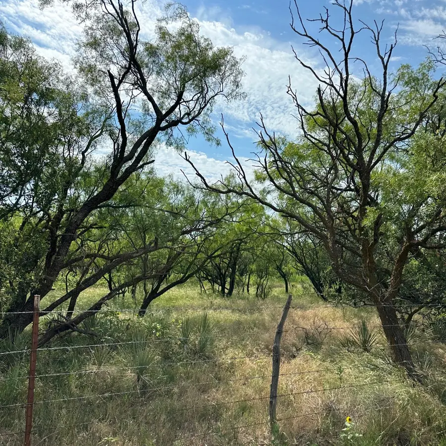 Tract 23 Cr 105, Abilene, TX 79601 - #2