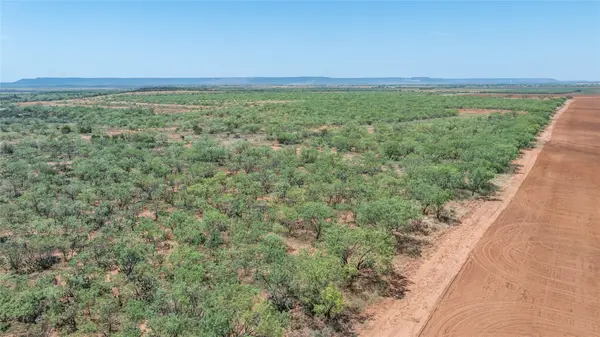 777 Noodle Dome, Trent, TX 79561