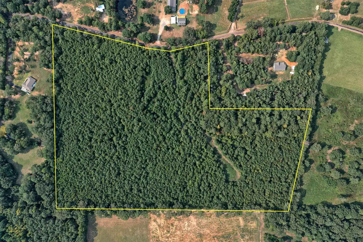 00 County Road 164, Long Branch, TX 75669 - #1