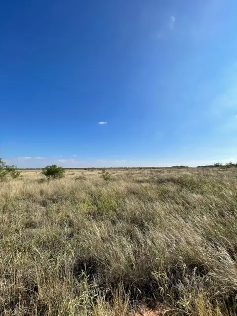 TBD Fm 2279, Rule, TX 79521 - #3