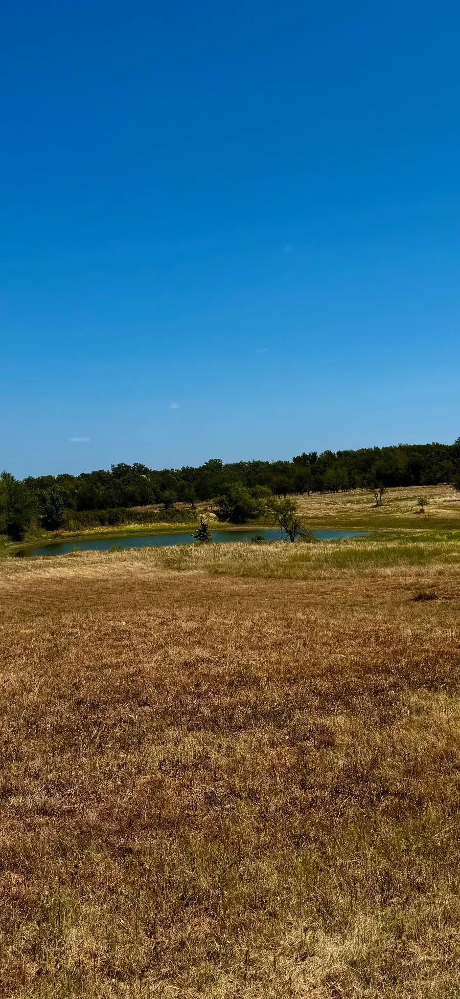 2005 Hilltop Cove, Springtown, TX 76082 - #3