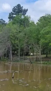 Lot 54 White Oak Creek Ranch, Big Sandy, TX 75755 - #3
