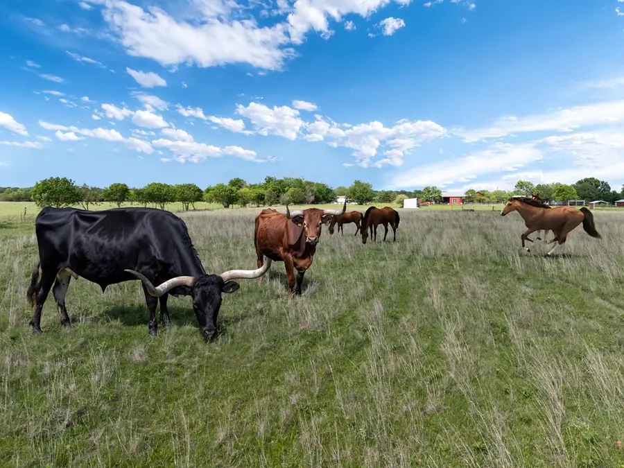 00 D Vz County Road 3804, Wills Point, TX 75169 - #3