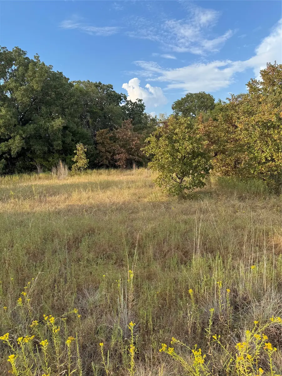 TBD New Hope Road, Boyd, TX 76023 - #3