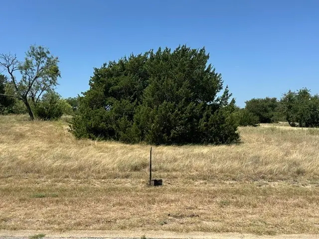 42167 Augusta Drive, Whitney, TX 76692 - #2