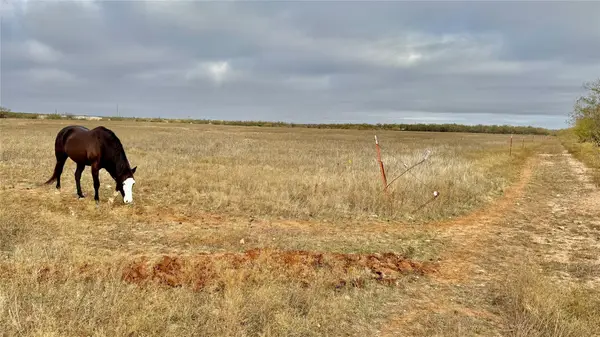 TBD Iberis Road, Abilene, TX 79606