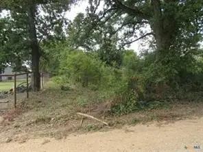 507 County Road 405, Buckholts, TX 76518 - #3