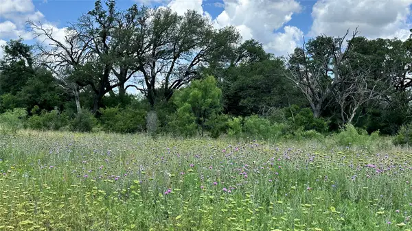 TBD 16 County Road 295, Carbon, TX 76435
