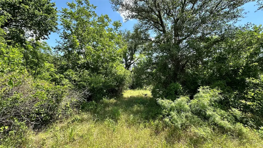 TBD 16 County Road 295, Carbon, TX 76435 - #2
