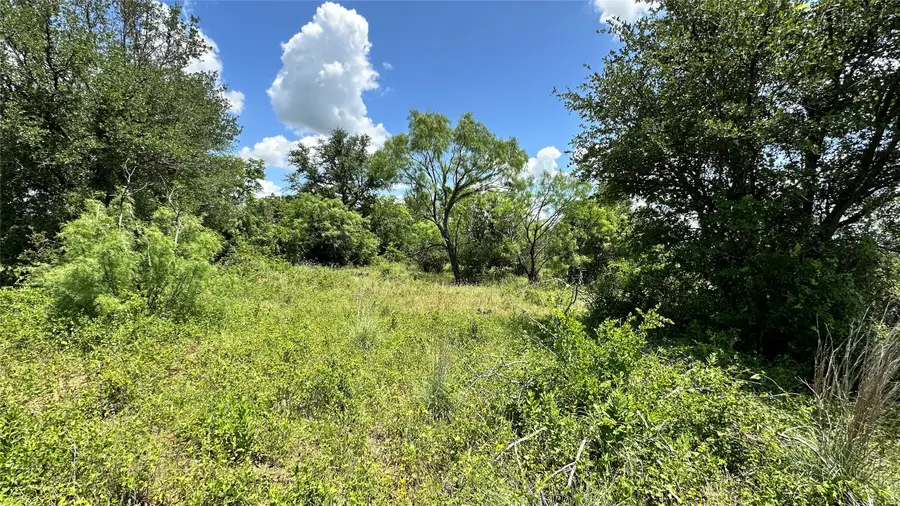 TBD 16 County Road 295, Carbon, TX 76435 - #3