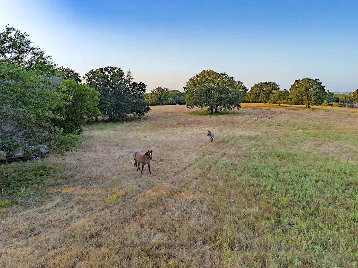 2403 County Road 2224, Decatur, TX 76234 - #1