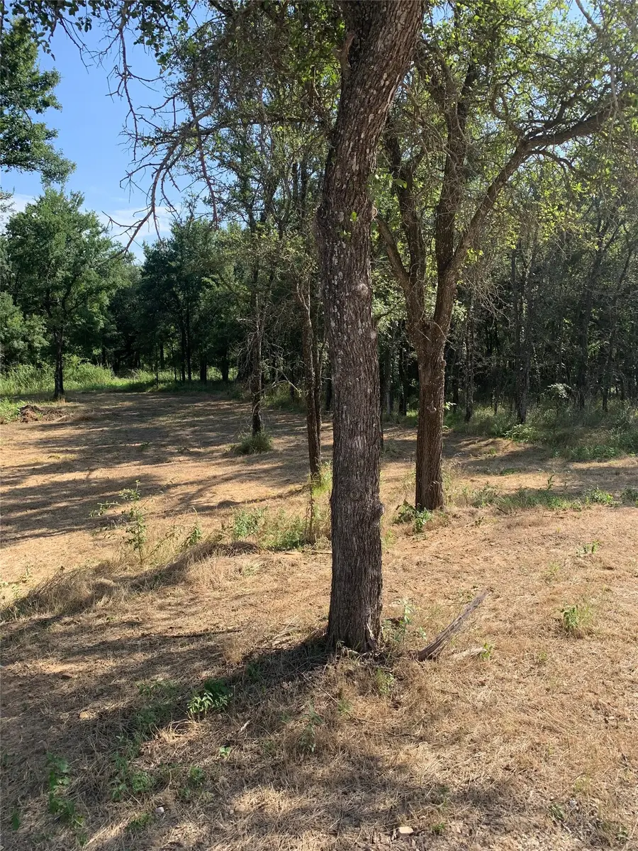 Lot 3 Cimmarron Trail, Runaway Bay, TX 76426 - #3