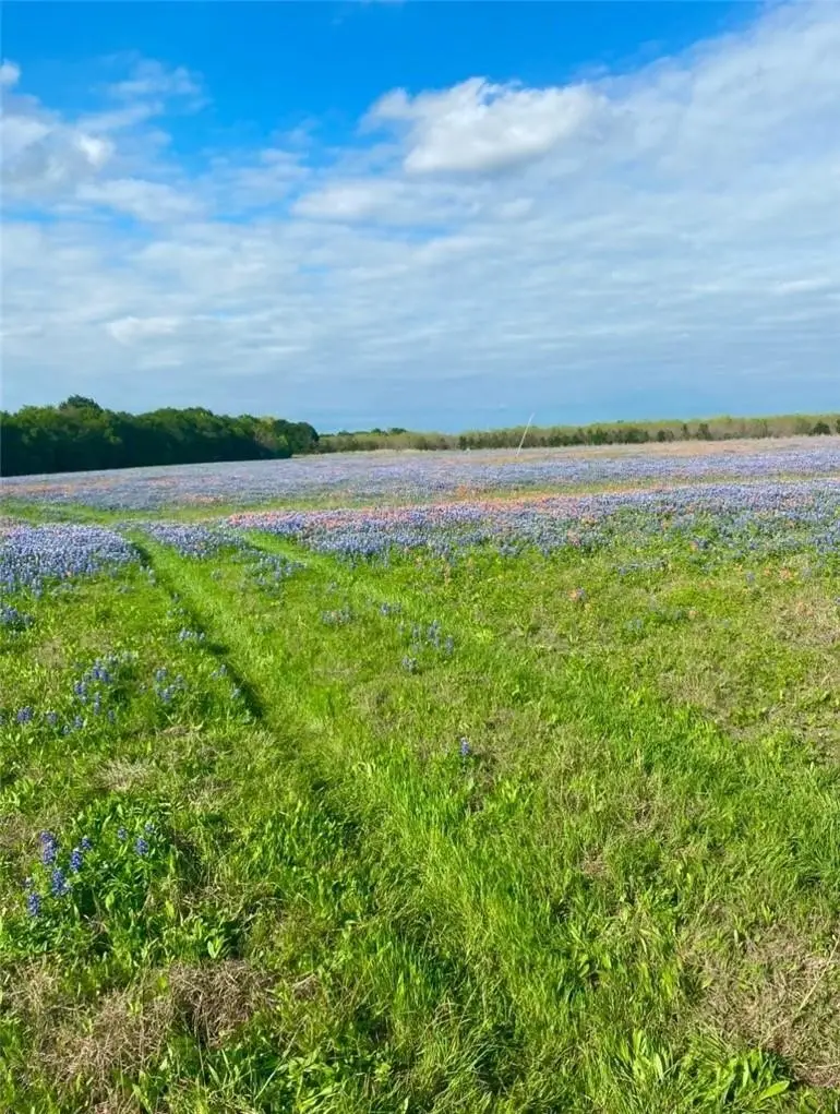TBD Kirkland Hill Road, Axtell, TX 76624 - #2