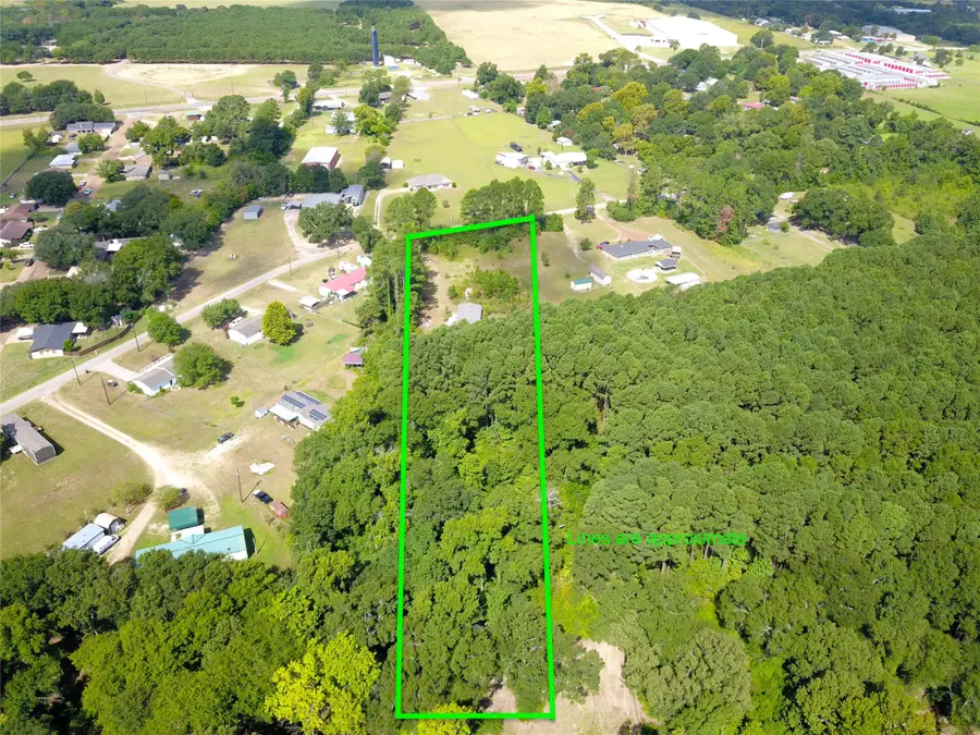 7401 County Road 4613, Athens, TX 75752 - #3