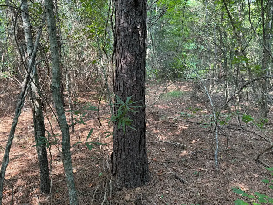 0 Best Road, Simsboro, LA 71275 - #2