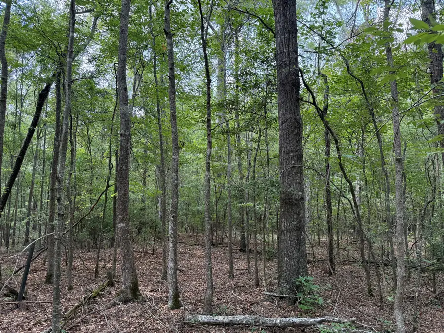 0 Best Road, Simsboro, LA 71275 - #3