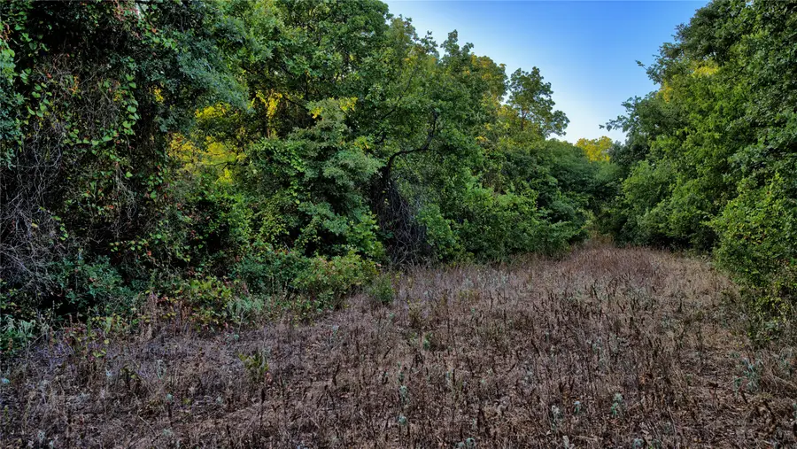 0 Ten Point Road, Nocona, TX 76255 - #2