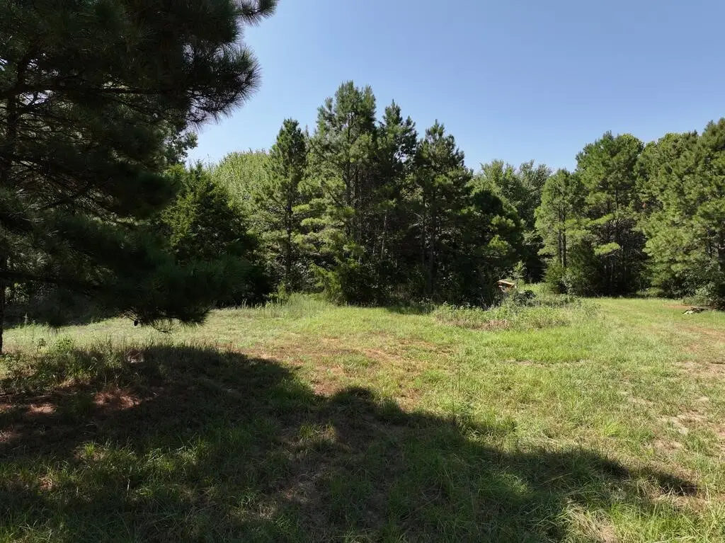 0 State Highway 154 W, Big Sandy, TX 75755 - #1
