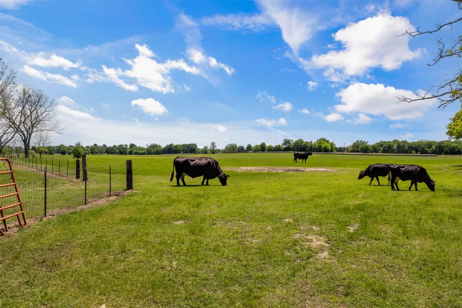 00 B Vz County Road 3208, Wills Point, TX 75169 - #2